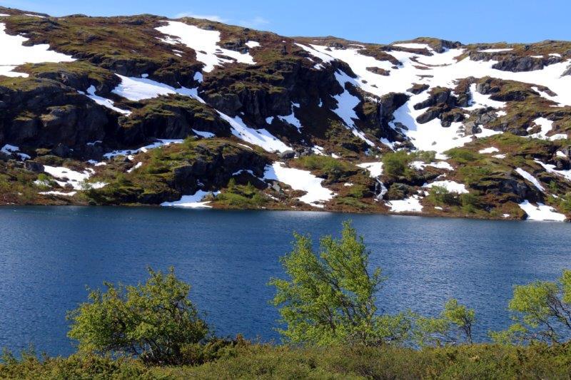 Norway Big Camera 096