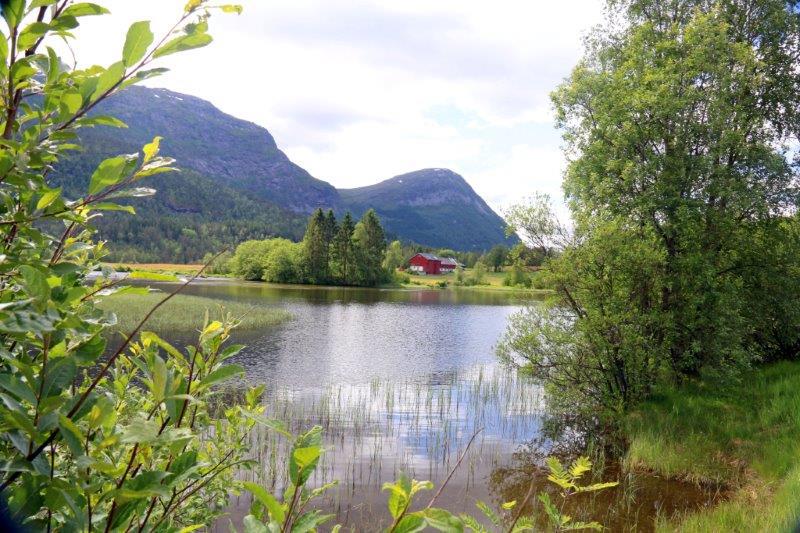 Norway Big Camera 137