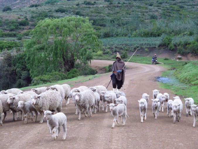 lesotho-leg-11-087